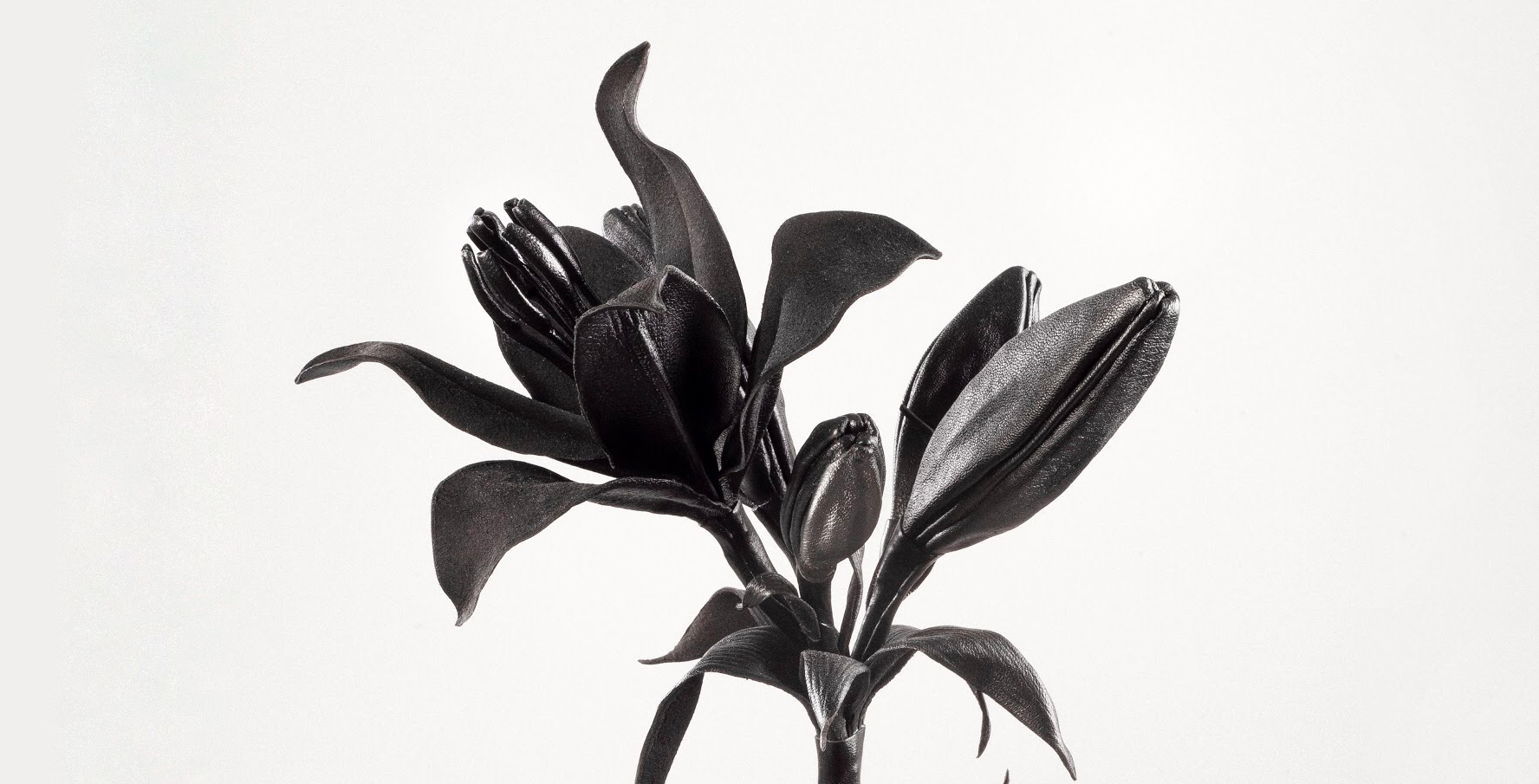 Botanical Delights made of Black Leather: Emma Marita Westergaard