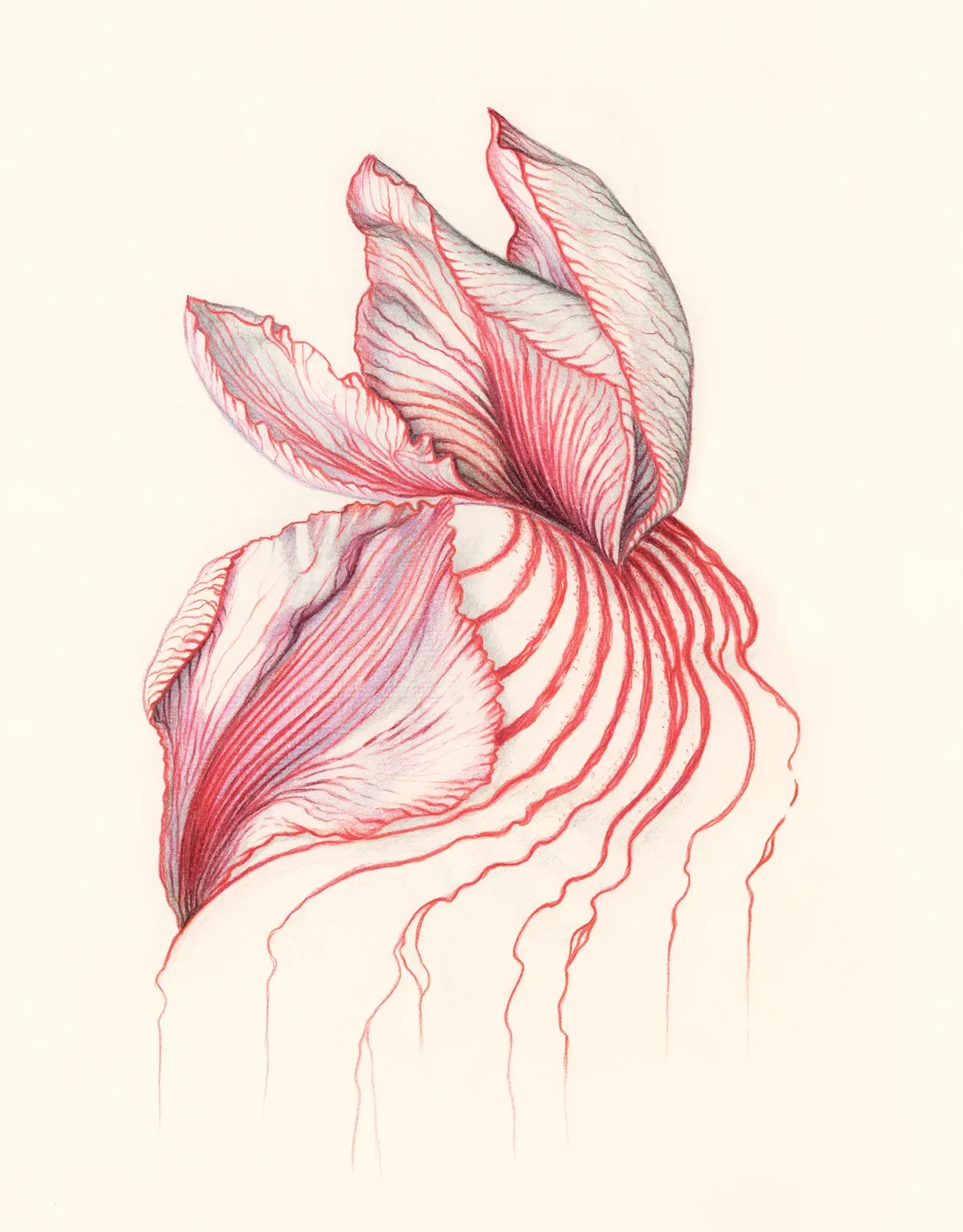 Veins