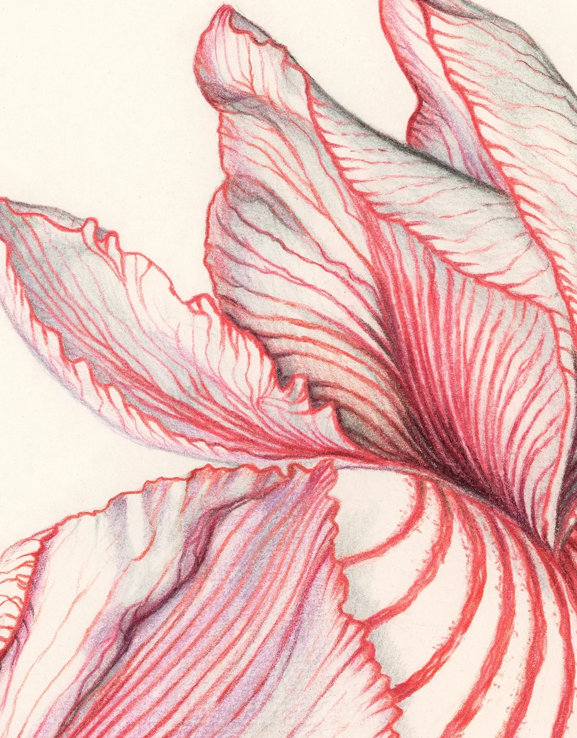 Veins detail